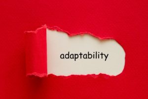 Adaptability is one of the most important executive assistant skills