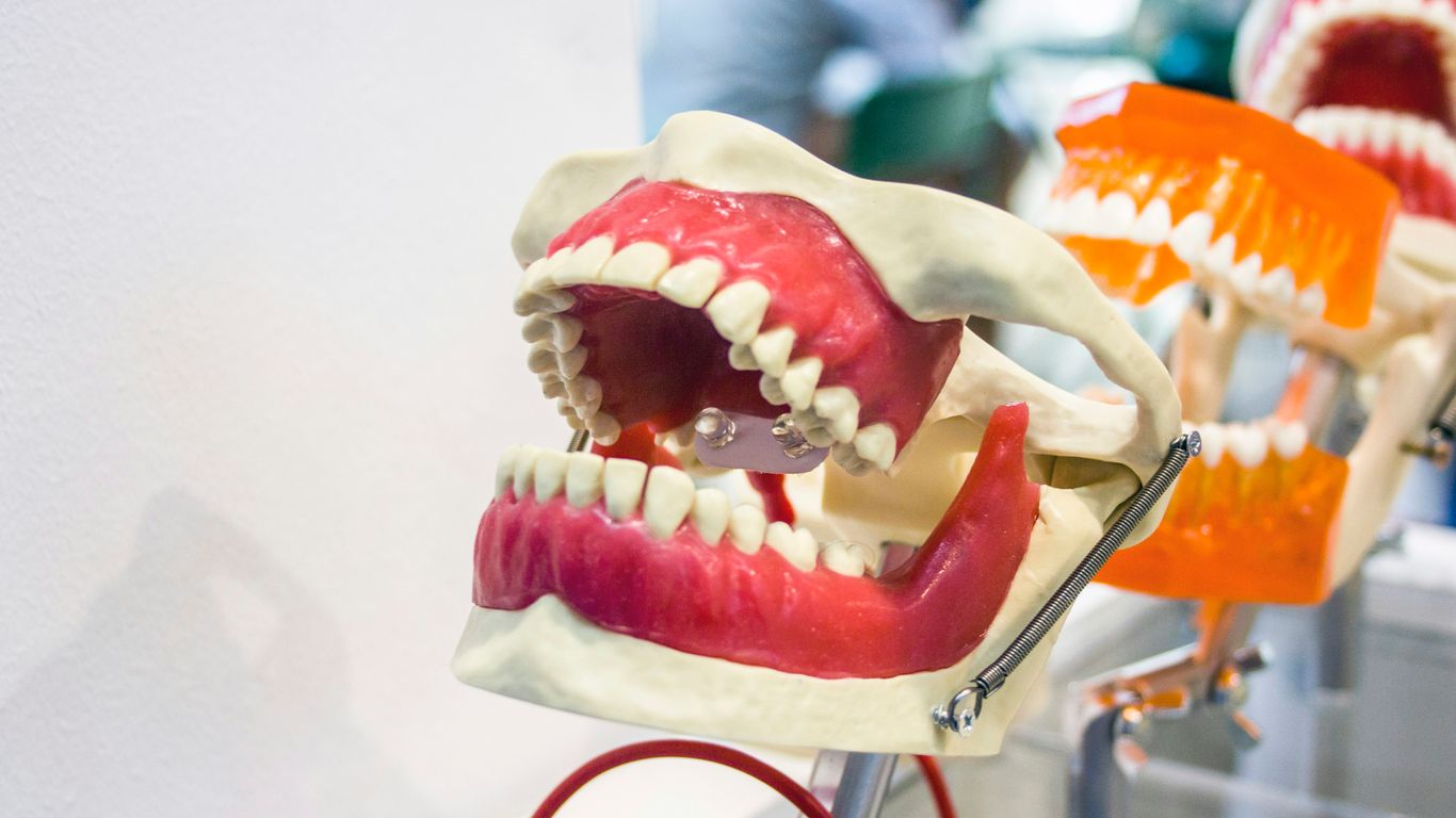a close up of a fake mouth with teeth