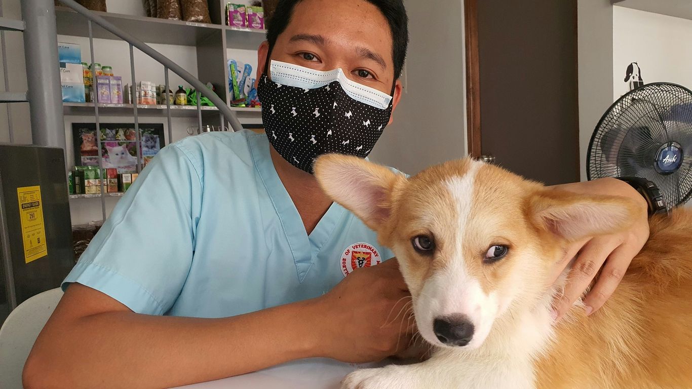 a man wearing a face mask sitting next to a dog