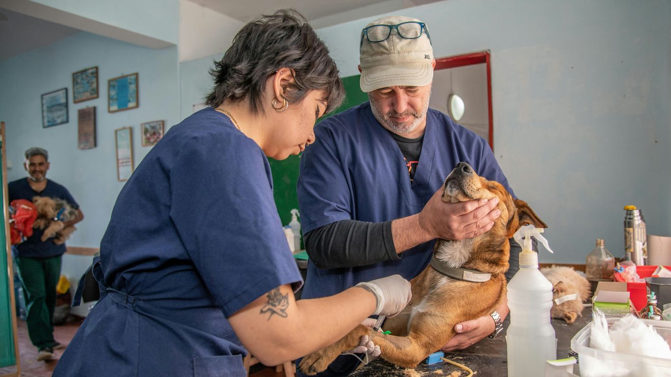 a man and a woman holding a dog in a room