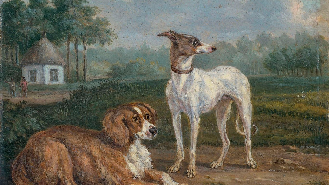 white and brown short coated dog on brown sand